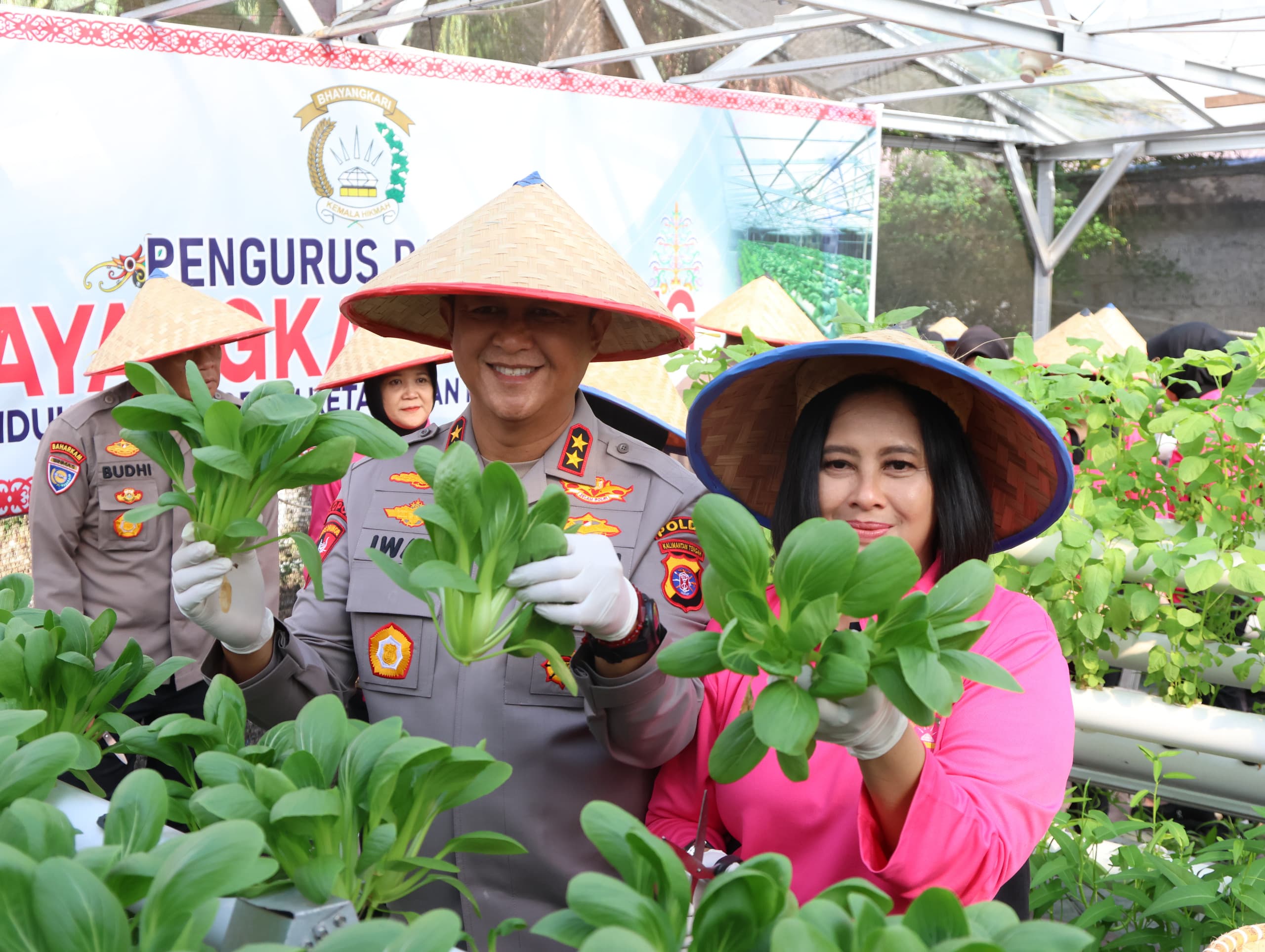 Dukung Ketahanan Pangan, Kapolda Kalteng Bersama Bhayangkari Panen Sayur di Lahan Pekarangan Pangan