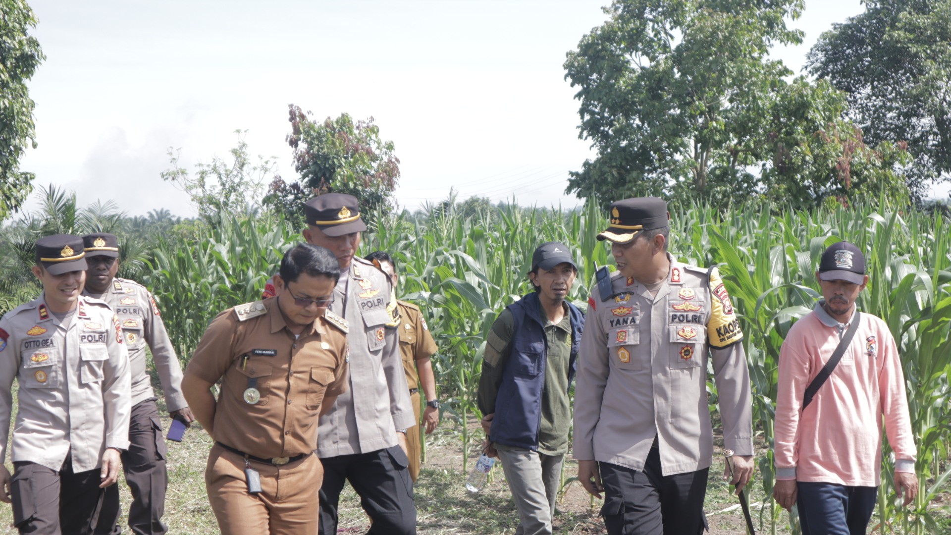 Program Ketahanan Pangan Nasional Kapolres Mukomuko Cek Kebun Jagung