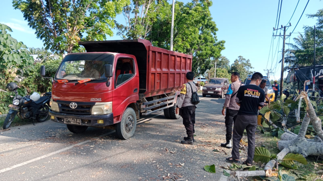 POLSEK TERAMANG JAYA BERSAMA WARGA BERSIHKAN POHON TUMBANG