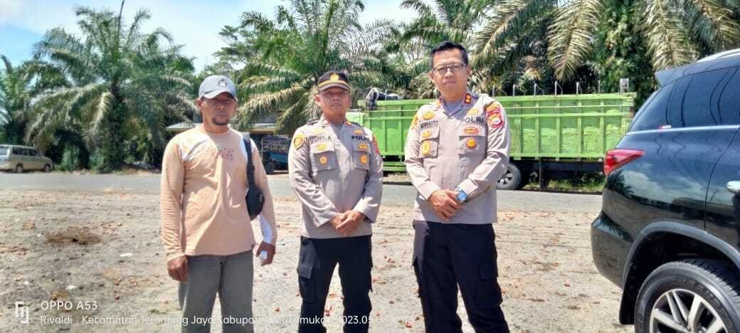 Kapolres Mukomuko Turun memantau Kemacetan Akibat Truk TBS Antri di PT KAS